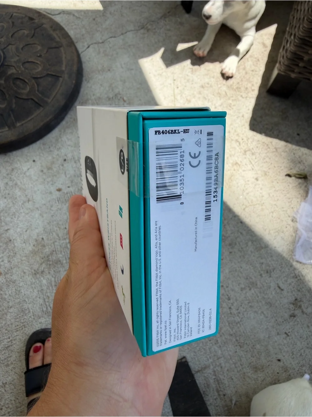 fitbit alta Fitness Wristband - Black